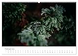  Trauringe (hochwertiger Premium Wandkalender 2025 DIN A2 quer), Kunstdruck in Hochglanz: Detailaufnahmen der Trauringe (CALVENDO Kunst)