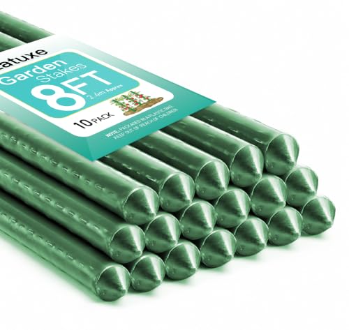 Latuxe Garden Stakes 8FT, Plastic Coated Steel Plant Stakes 10pcs Specifically Designed for Climbing Plants, Ideal for Tomatoes, Beans, Cucumbers, Peppers, Vines, and More Plant Growth