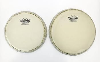 Amazon.co.jp: Pearl ホワイトウッド・ボンゴ レモ・ニュースキン Amazon.co.jp: Pearl ホワイトウッド・ボンゴ レモ・ニュースキン