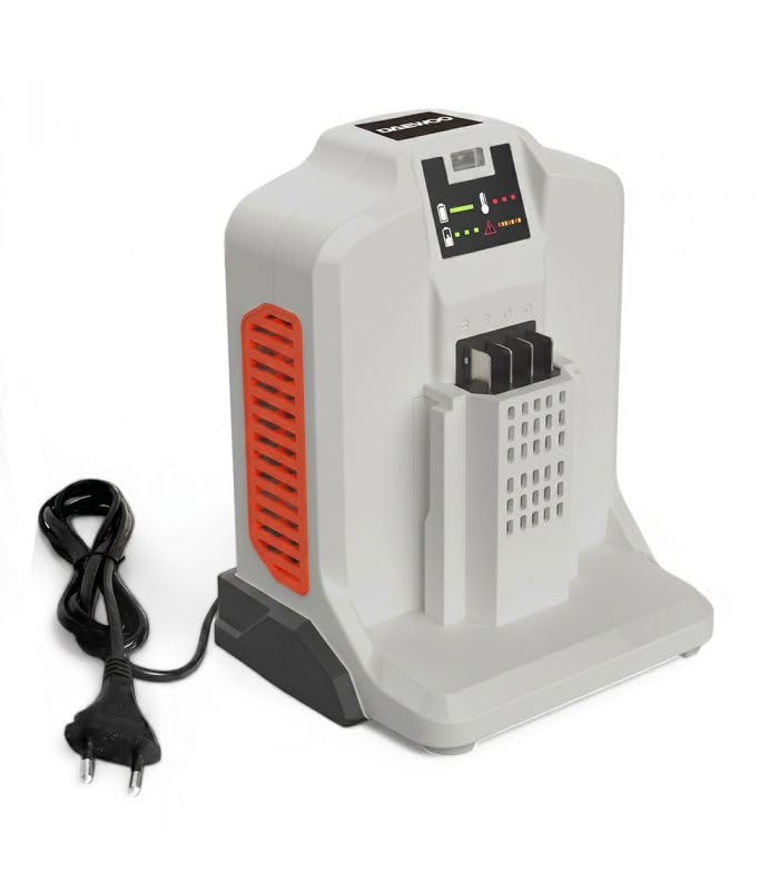 Chargeur Rapide 62V 4A pour Batterie DAEWOO DALCH62-4A