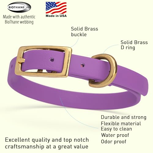 Image of Viper Biothane Heavy Duty Waterproof Dog Collar Strong Coated Nylon Webbing w /Solid Brass Hardware Odor-Proof for Easy Care to Clean High Performance Fits Small Medium or Large Dogs, Amethyst Purple
