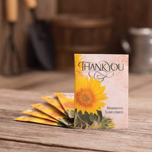 Thank You | 25 Mammoth Sunflower Seed Packet Party Favors | Non GMO | Already Filled | Bulk Pack of 25