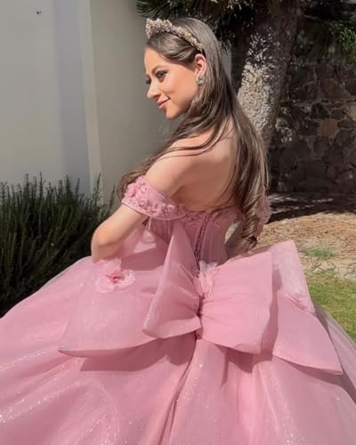 Glitter 3D Flower Quinceanera Dresses Puffy Tulle Beaded Sweet 16 Dresses Lace Applique Quince Dress4