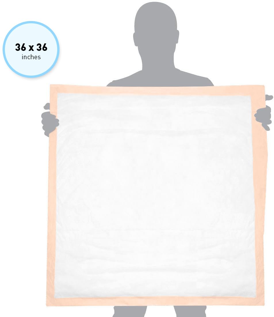 36 x 36 Pulgadas, Almohadillas Desechables 6/10-3662 SQ1120, 10