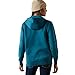 ARIAT Women Logo 2.0 Hoodie