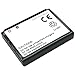 Lemnar Li-Ion Battery for BlackBerry 6210