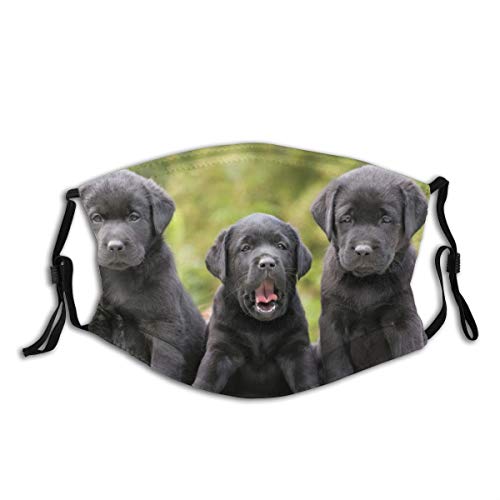 Preisvergleich Produktbild Atmungsaktive Unisex-Gesichtsschutz-Abdeckung, wiederverwendbar, Tier-Bokeh-Hund, lustiger Labrador Retriever, Labrador, Haustier-Maske, Sturmhaube, Stirnbänder für Erwachsene, Outdoor-Sport