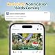 Vogelhaus mit Kamera Outdoor Solar Vogelfutterspender: 2K WLAN Vogelfutterhaus Wetterfest IP66 - Geschenke FüR Vogelliebhaber Ai Verfolgung EichhöRnchensicher - Bird Feeder Camera