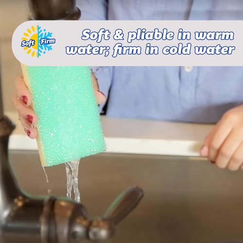 Scrub Daddy Sponge Daddy, Dual Sided Sponge Scrubber, Dish Sponges for Washing up, Non Scratch Scourers for Cleaning Dishes, Bathroom Scrubbing Tool, Assorted Kitchen Sponges Multipack