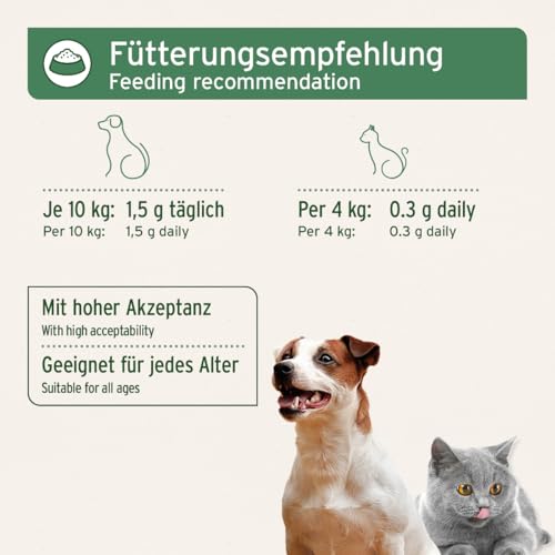 AniForte Eierschalenpulver für Hunde & Katzen 250 g – Natürliche Kalzium Quelle, Unterstützt Knochen & Zähne, Eierschalen Pulver zum Barfen, Calcium für Hunde, hohe Bio Verfügbarkeit