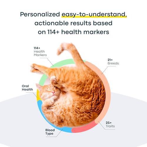 image for Basepaws Cat DNA Test Kit 2 Pack- Comprehensive Breed, Health and Dent