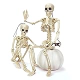 2PCS Skeleton Halloween Decorations, 16' Full Body Posable Skeleton with Movable Joints for...