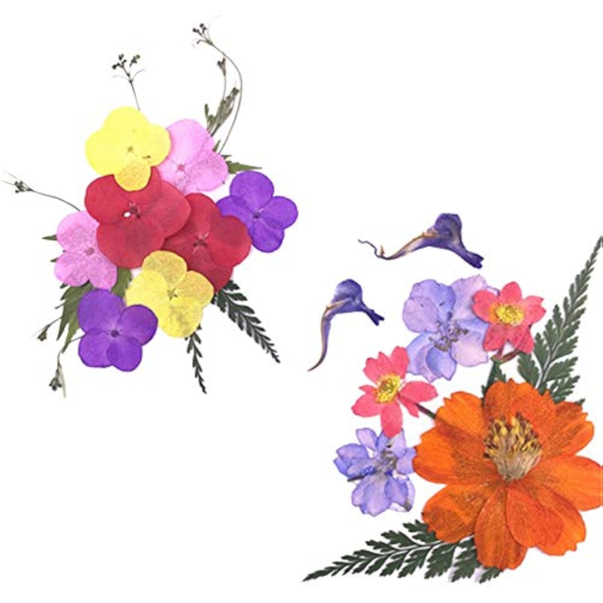 Dried Craft Flowers Multipurpose DIY Pressed Flowers Dry Flower Kit