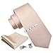GUSLESON Men's Solid Silk Tie Champagne Ties for Men Necktie Clip Pocket Square Cufflinks Sets (6101-10)