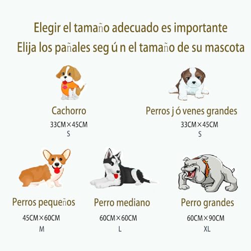 La mejor comparación de Tapete entrenador para perro soriana Top diez. 20 Imagen adicional
