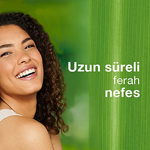 Himalaya Since 1930 Nane Ferahlığı Bitkisel Diş Macunu, Florürsüz, Parabensiz, Vejeteryan, Ferah Nefes, 75 ml (3 paketi)