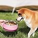 Pawaii Insulated Stainless Steel Dog Bowl with Non-Slip Base & Double Wall Design, ID Tag Included - 68oz Durable Dishwasher Safe Bowl for All Dogs