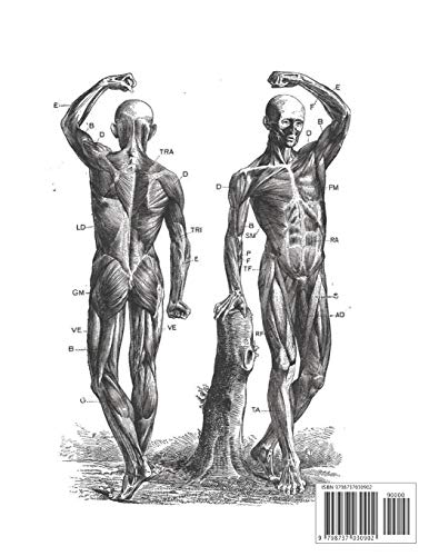 Human Anatomy Coloring Book: An Entertaining Human Body Coloring Book for Adults, Teens, Doctors, Nu