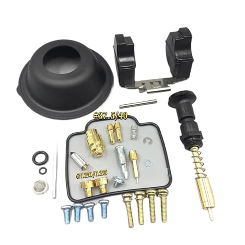 oCNpLu^[Lbg ɓKXYL DR200 DR200S/DR200SE 1996`2017Np t[gj[hKChXN[Lbg _Ct rhp[c Lu^[I[o[z[Lbg(J[2)