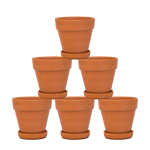 YXMYH Terra Cotta Pots with Saucer- 6-Pack Large Terracotta Pots Clay Pots 4'' Clay Ceramic Pottery Planter Cactus Flower Pots Succulent Pot Drainage Hole- Great for Plants