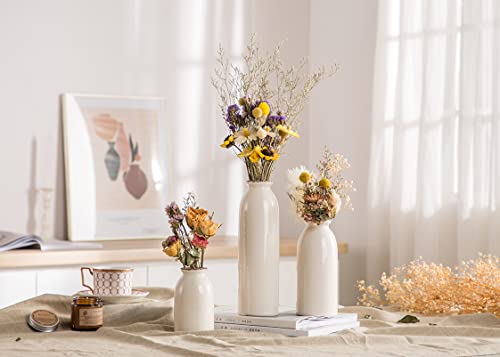 Clwlgo - Ceramic Country Vases, 3-Piece White Flower Ornament Vases, Modern Farmhouse Decor, Living Room Decor & Dining Table Centerpieces, Bookshelf, Fireplace & Entrance Decor, Housewarming Gifts #TOP2