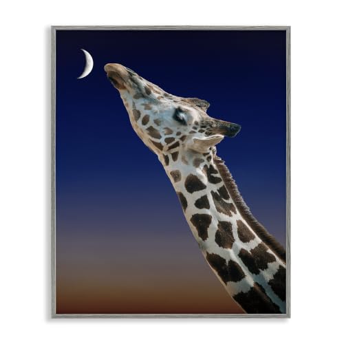 Stupell Industries Giraffe Kissing Moon Nighttime Sunset Beautiful Portrait,Design by Atelier Posters, Gray Framed, 16 x 20