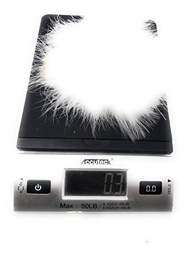 Creative Angler Strung Marabou Bird Feathers For Tying Fly Fishing Flies - Fly Tying Accessories - Perfect Choice For Tail & Wings And Easy To Tie On The Lure - Approximately 0.3 Ounces (White) #TOP1