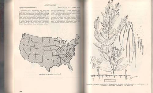 Outdated, outdated, of historical interest perhaps