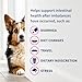 Nutramax Proviable Probiotics for Dogs, Diarrhea Support Kit, Digestive Health Supplement with Multiple Strains of Bacteria, Plus Prebiotics, Kaolin and Pectin, 30 ml Paste and 10 Capsules