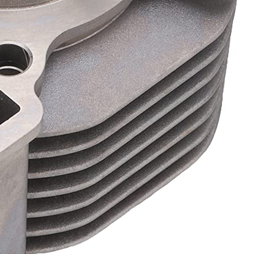 Aramox Conjunto de pistão cilíndrico, kit de vedação de anel de pistão cilíndrico de 55 mm/2,17 pol.