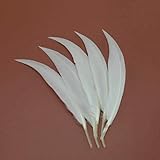 Ces plumes colorées peuvent être facilement taillées, façonnées et attachées à divers matériaux