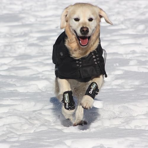 Ortocanis - Karpalgelenk-Bandage für Hund - Arthrose, Bänder- und Sehnenverletzungen oder Agility-Hunde - Hergestellt aus Neopren ARD - Größe L 17-19 cm
