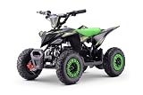 Beneo Motors ATV   Mini quad pour Enfants Raptor Verte   800W 36V 12Ah à partir de 3 ans