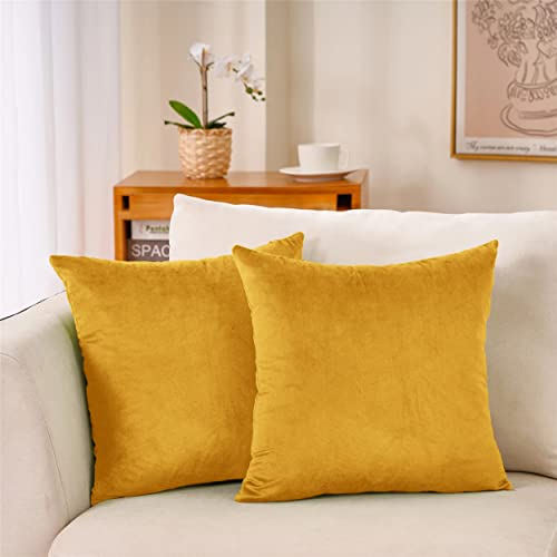 Hafaa Velvet Cushions with Covers Included Sets 4 (2 Cushion Covers, 2 Cushion Inserts 45cm x 45cm) Luxury Decorative Square Throw Pillow Case Sofa Cushion with Invisible Zipper - Ochre