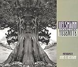 Uelsmann / Yosemite