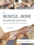 The Muscle and Bone Palpation Manual with Trigger Points, Referral Patterns and Stretching - E-Book
