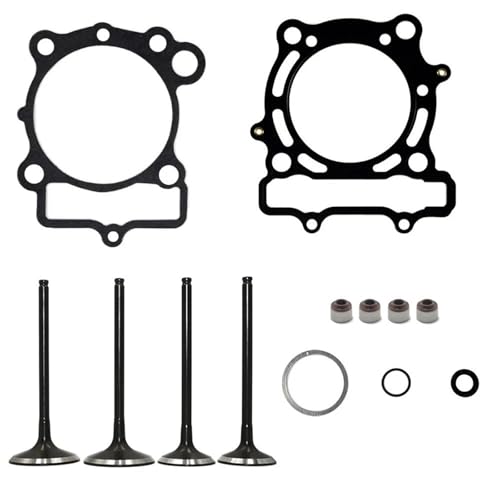 Joint de culasse KX250F contre la perte de compression moto