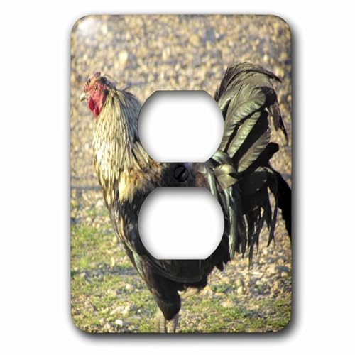Coq à queue verte 3dRose finition soignée plaque double prise pour décoration raffinée