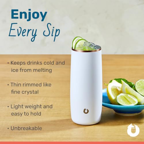 image for SNOWFOX Premium Vacuum Insulated Stainless Steel Cocktail Glass/Drink 