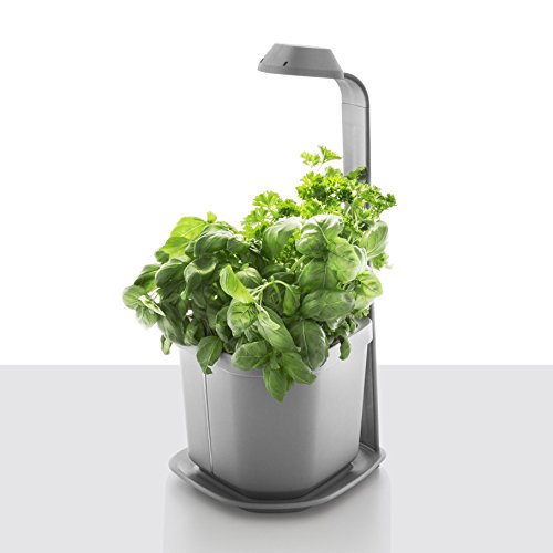 Tregren Genie Pot de fleurs...