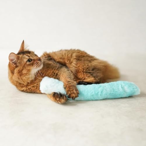 Mofu肯 \[_t[g y񂵂˂izLbgjbvIӂӂLpʂ݁bSfނŃXgX^sɁyL  ʂ݁z