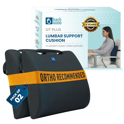 Image of Orthosit Orthopedic Lumbar Support | 5-Yr-Warranty | Back Support Cushion | Back Pain Relief| (Grey - Set of 2)