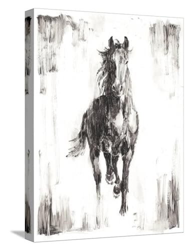 ART.COM Stretched Canvas Print Rustic Black Stallion I, 12" x 16"