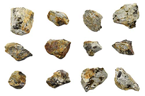 12PK Raw Garnet Schist, Metamorphic Rock Specimens - Approx. 1" - Geologist Selected & Hand Processed - Great for Science Classrooms - Class Pack - Eisco Labs