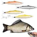 LUSTRIB Fish Shaped Bag and Pens Set, Realistic Fish Shaped Bag with Zipper & 4 Cute Fish Pens, Novelty Stationery Gift for Office, Party Favors