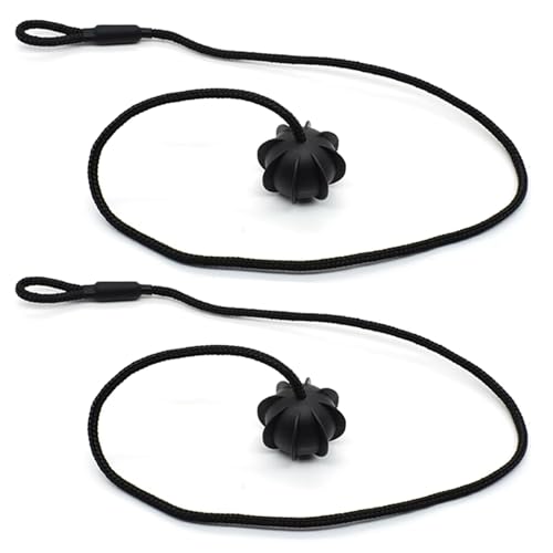 Corde de plage arrière de voiture pour vos trajets en Mini Cooper et Paceman - 2