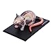 Imagen de Modelo Anatómico 4D Anatomía De La Rata En Blanco Y Negro Modelo De Órgano Óseo Visceral Enseñanza De Medicina Veterinaria Equipo Ensamblado Extraíble 32 Piezas