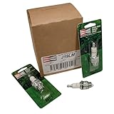 Stens 130-413-8 Carded Spark Plug Compatible with/Replacement For Champion 861-1, 871, J19LM,