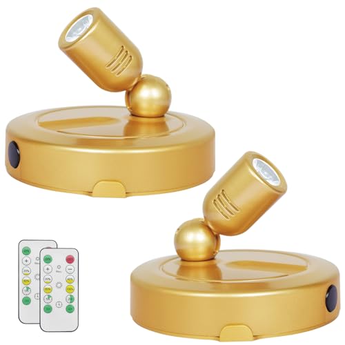 HAMVIDNE Indoor Spotlight image