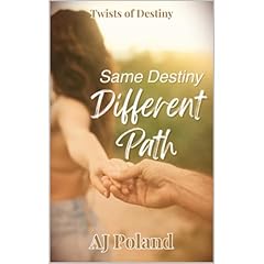 Same Destiny Different Path Audiolibro Por AJ Poland arte de portada